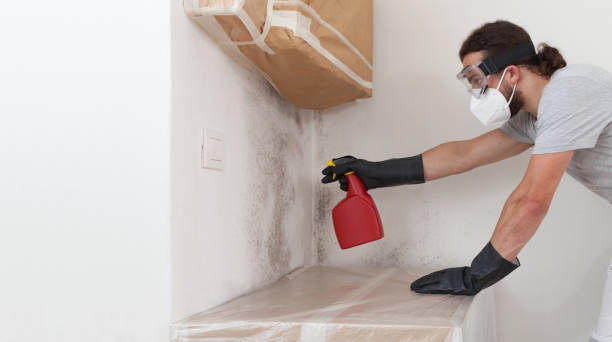 Professional Commercial Mold Remediation technician working in Roslindale, MA